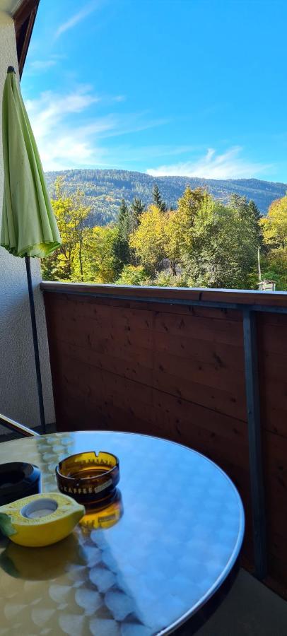 Ferienwohnung Edeltraud, Fusslaeufig Zum See Und 20 Minuten Vom Skigebiet Entfernt Döbriach Exterior foto